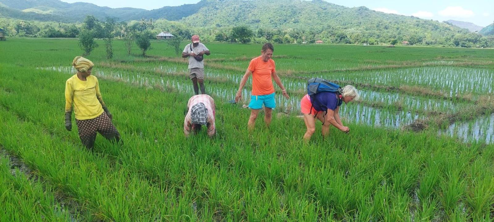 Inang Amang Homestay Labuan Bajo Exteriér fotografie